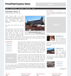 Screenshot of demo site